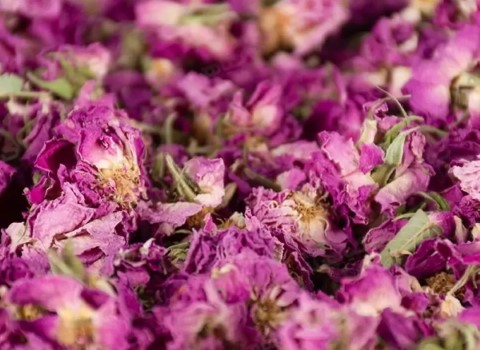 تصویر 3 از فروش پر گل محمدی خشک  + قیمت خرید به صرفه